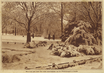 873906 Gezicht in het besneeuwde Wilhelminapark te Utrecht.